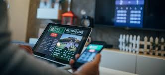 Descubre el Mundo del Juego en Línea con Novibet